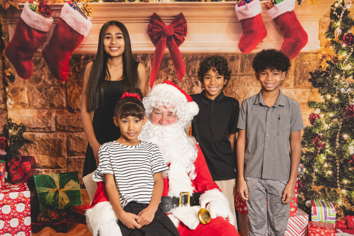 Tanya Myre - Realtor.ca Xmas mini