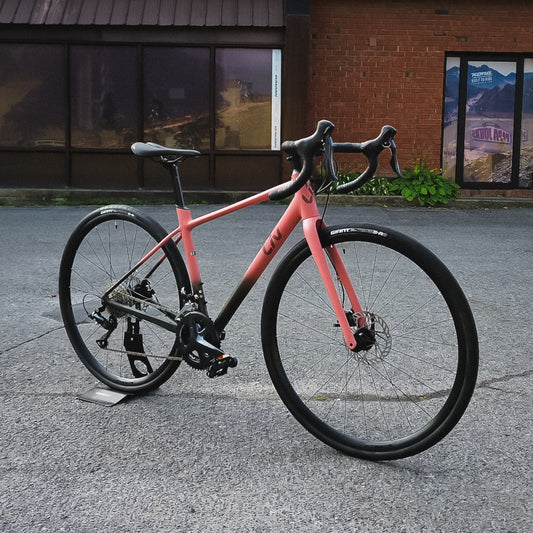 Liv Cycling Avail AR 3